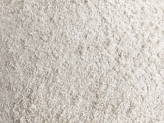 Close Up of White Carpet