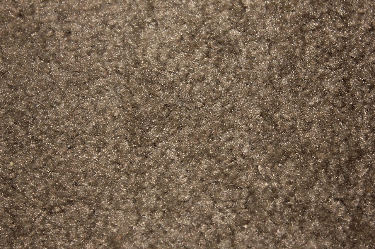 A close up of a rough brown carpet