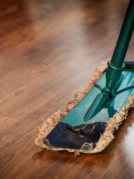 Dry Mopping VS Wet Mopping: Key Differences