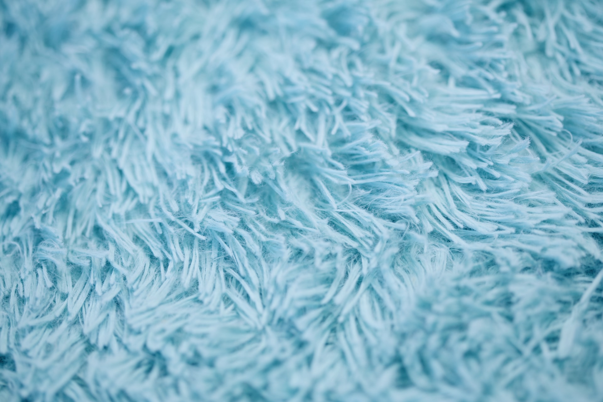 Blue wool carpet fibres