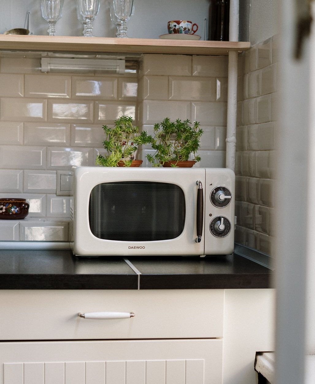 A microwave with some plants on top